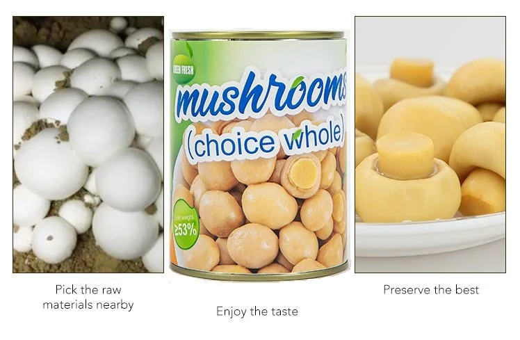 Chinese food stuff sales fresh canned mushroom whole in brine canned food in tin 2840g/ 800G/400G/284G