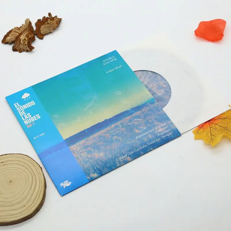 Cheap Music Record Vinyl In Jacket Custom Vinyls Records Cover Blank Vinyl Records