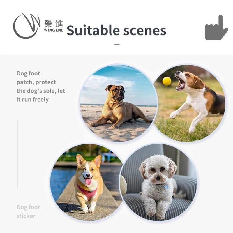 2022 Design New Dog Paw Protector Adhesive Pet Glue Creative Pet Foot Pad