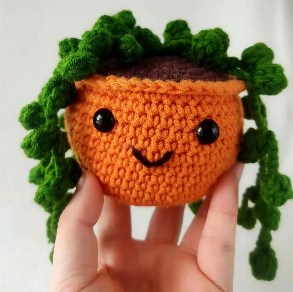 Crochet Kit for Beginners Crochet Amigurumi Succulent Plant  DIY Craft Kit Kawaii Plant