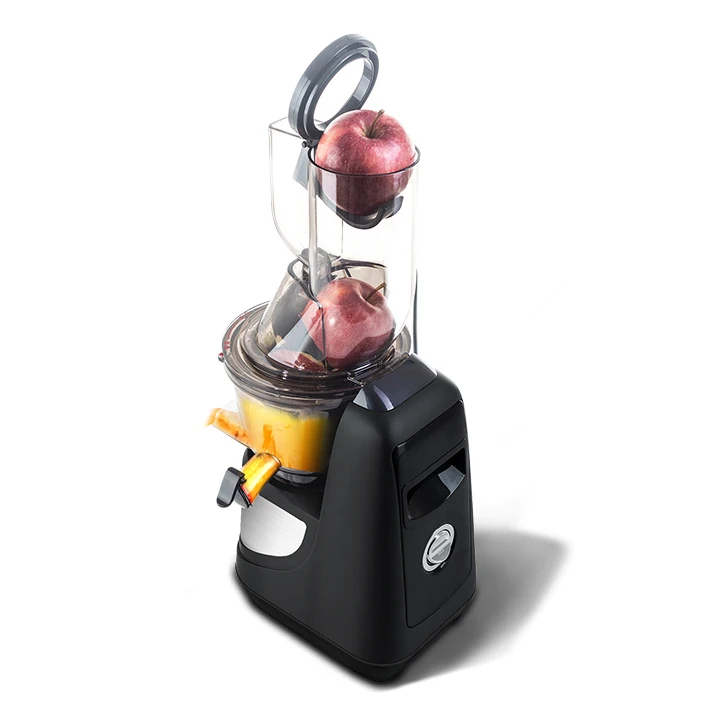 Electric Stainless Steel Filter Screen Multi-Function Portable Cold Press Slow Juicer with Mixed Filter Custom Plastic Household