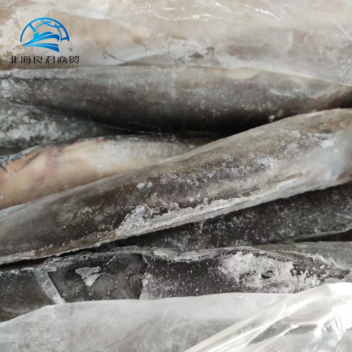 Wholesale supplier hot selling specialty natural seafood high-quality and healthy fresh frozen live catfish fish