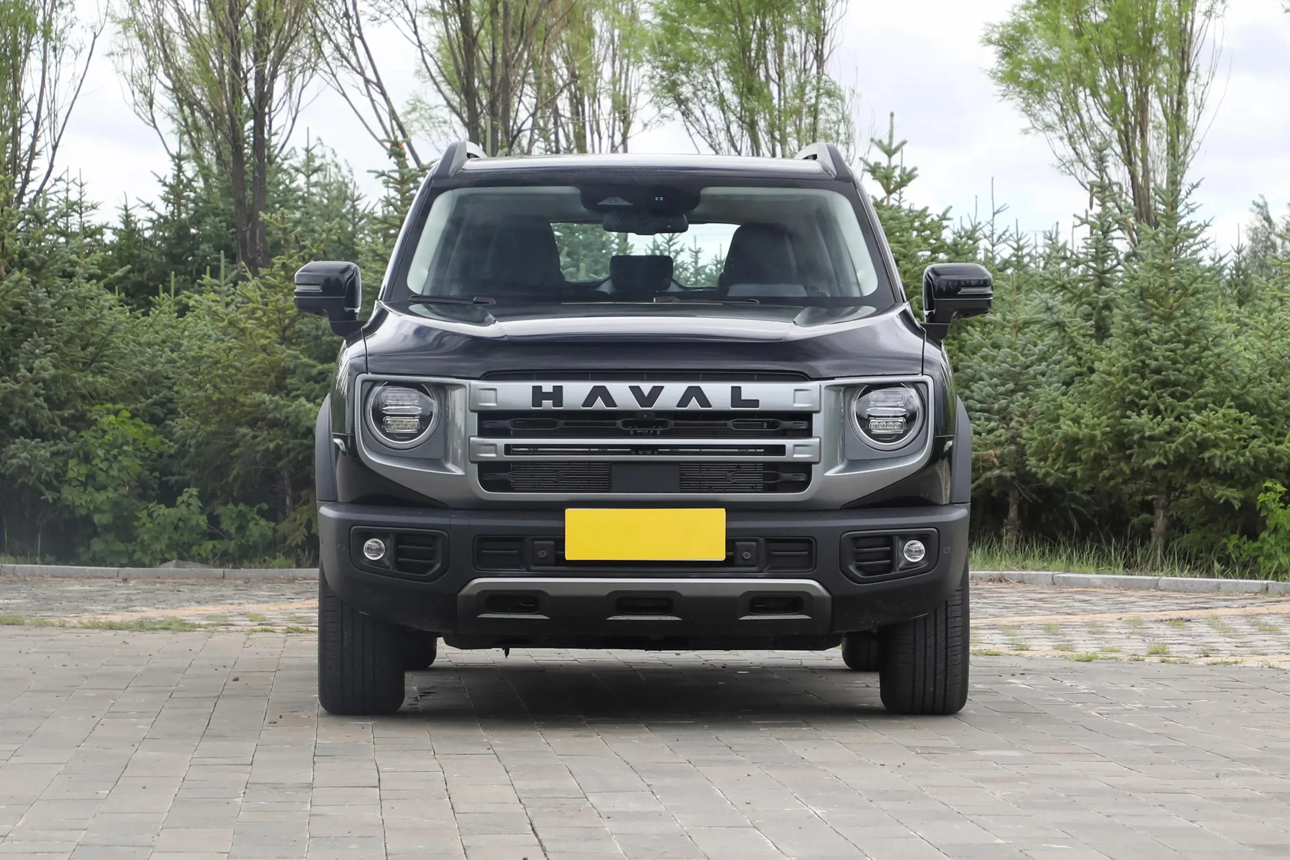 Deposit Explosive Models Automotive Dargo Car Haval 180kmh GMW 60L Compact SUV 5 Door 5 Seats SUV 2.0T 238Ps L4 Gasoline Auto