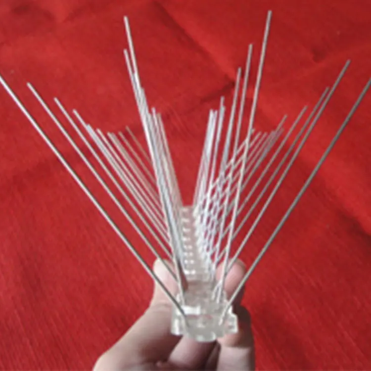 Hot Sale 5m Long Plastic Pigeon Control Spikes Anti Bird Spikes for Bird Deterrent