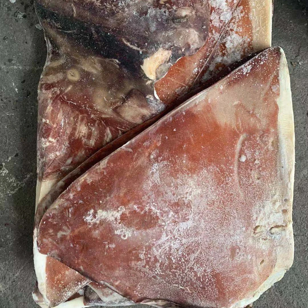 frozen giant seafood squid half cut wings  sale 500g+