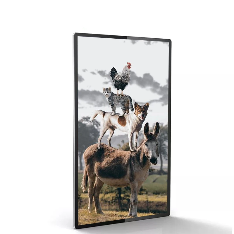 Custom Size 15.6 inch digital signage and displays liquid crystal advertising screen for Ad player
