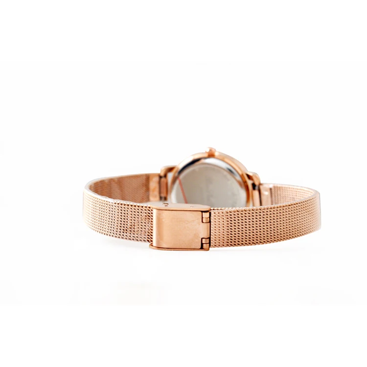 BOSHIYA 3 Hands 12 Scale diamond watch cover Luxury Magnetic Strap ladies womens watches