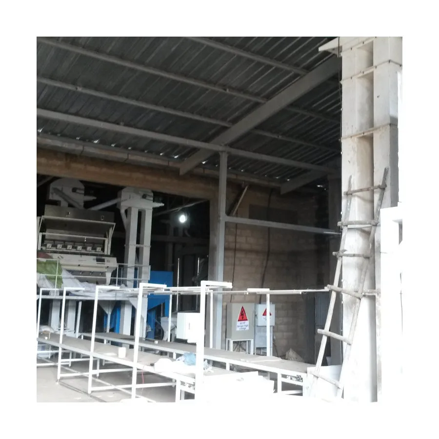 paddy rice Seed Grain Cleaner sesame Grader Selecting Machine Grain Cleaning and Grading Machine
