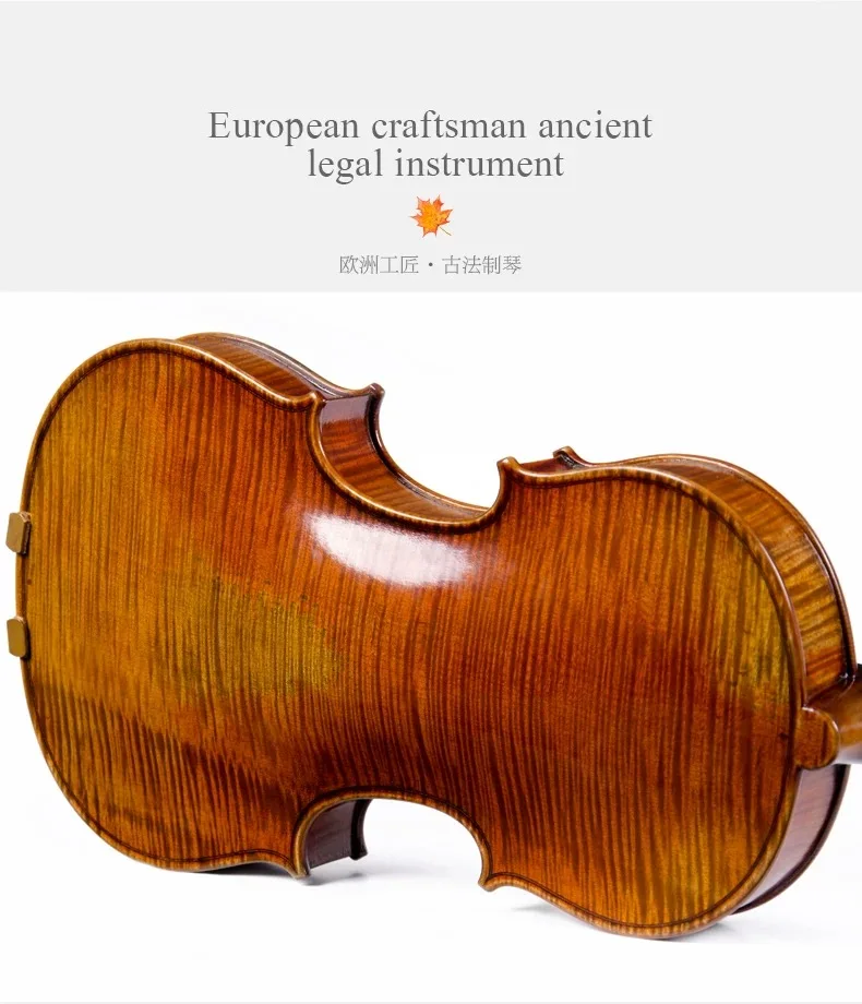 CHRISTINA Violin S600D Handmade Best Brand Grade Professional Performance With Case String Bow