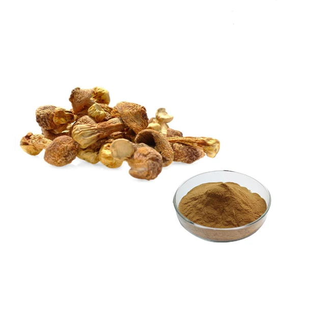 100% Natural Organic Agaricus Bisporus Murrill Mushroom Extract Powder Agaricus Blazei Extract