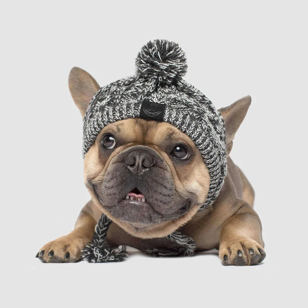 Pet hat colorful cute hat custom woven label logo winter knitted beanie hat with ball pet dog bulldog accessories plush puppy