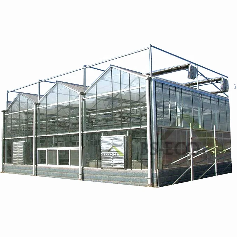 Glass Cover Material and Beautiful,Economic Interest Features Large Greenhouse Price