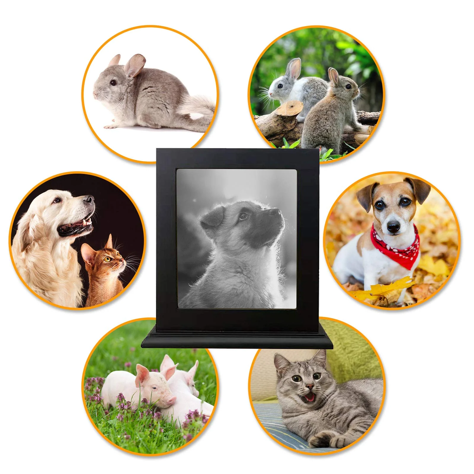 Keepsake Wooden Cremation Pet Urns Pet Coffin Casket Funeral Recycled Pet Urn