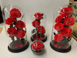 Large preserved flower rose in glass bottle and shell