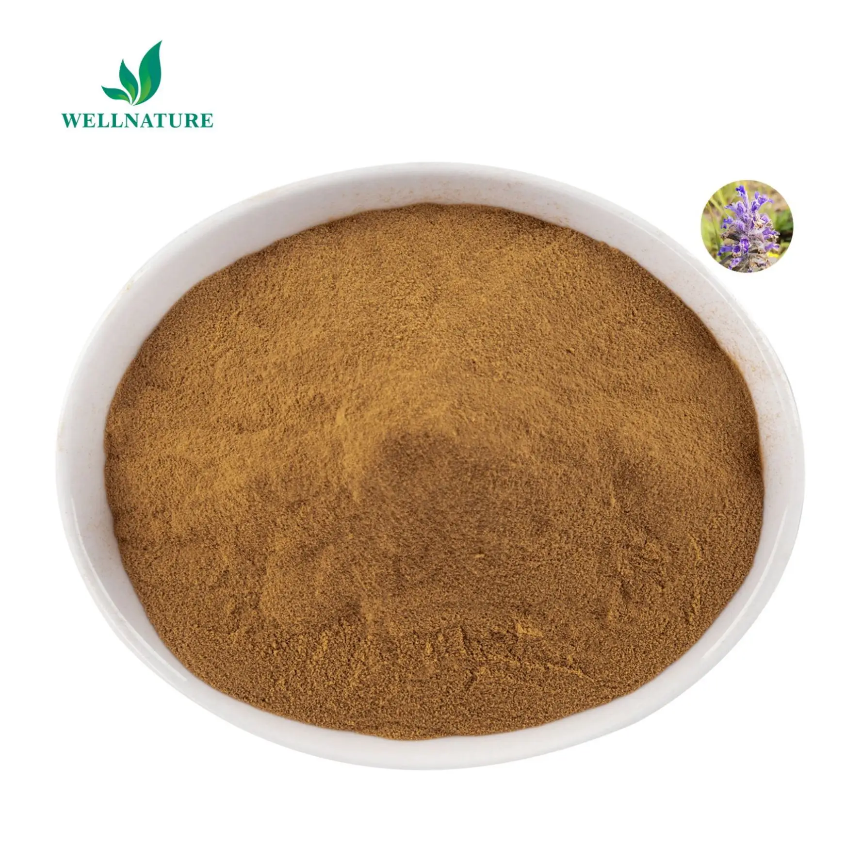 Bulk 40% 10% Raw Turkestanica Extract High Purity Ajuga Turkesterone Powder for Health Supplement