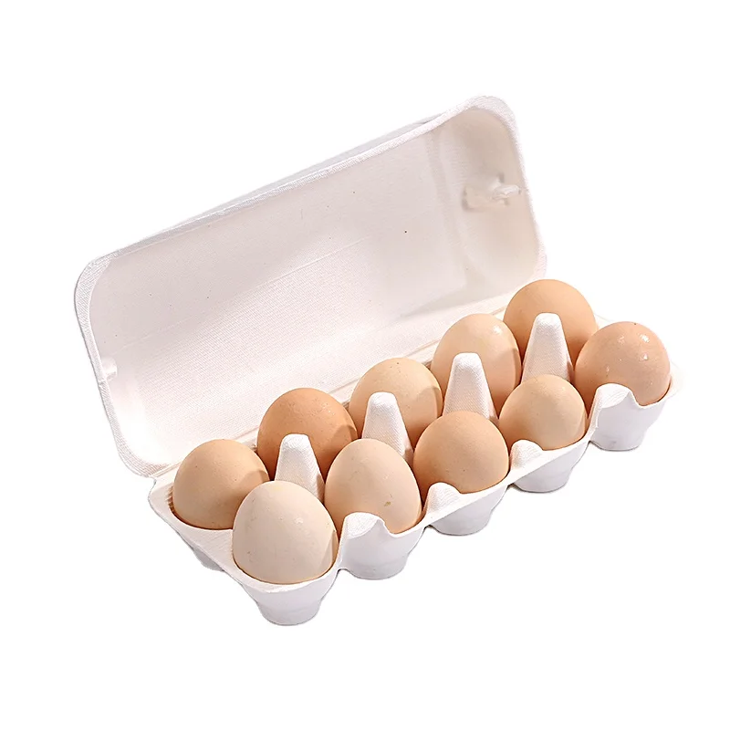 High Quality Egg Carton Box Making Machine For Egg Tray Carton