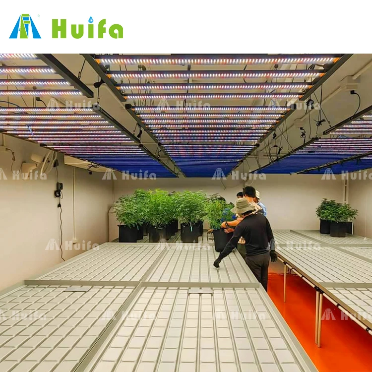 Agricultural Equipment Fixed Plant Growing Flood Ebb Trays Grow Table Grow Rack For Plants