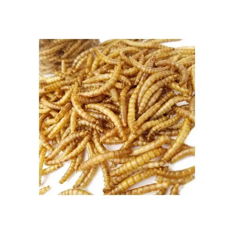 Большой стандарт высокого питания белка Замороженные Сушеные mealworm для птиц