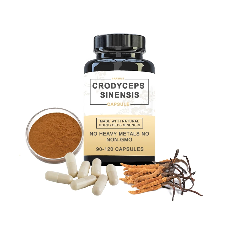 Organic 10:1 Mushroom Ground Powder Health Cordycepin 1% Cordyceps Sinensis Extract Cordyceps Militaris Powder 1 Kg
