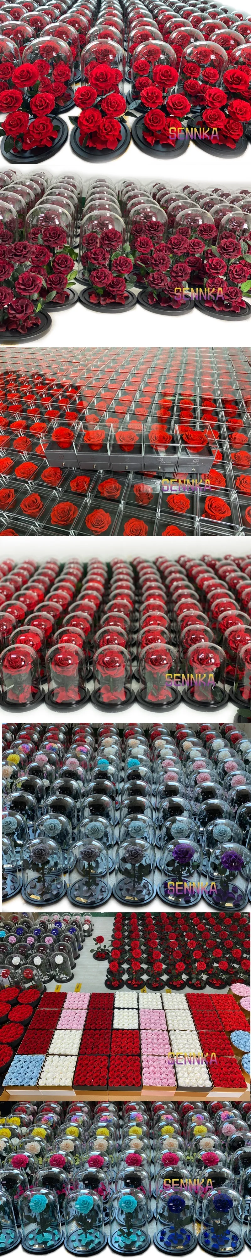 rose in glass sennka