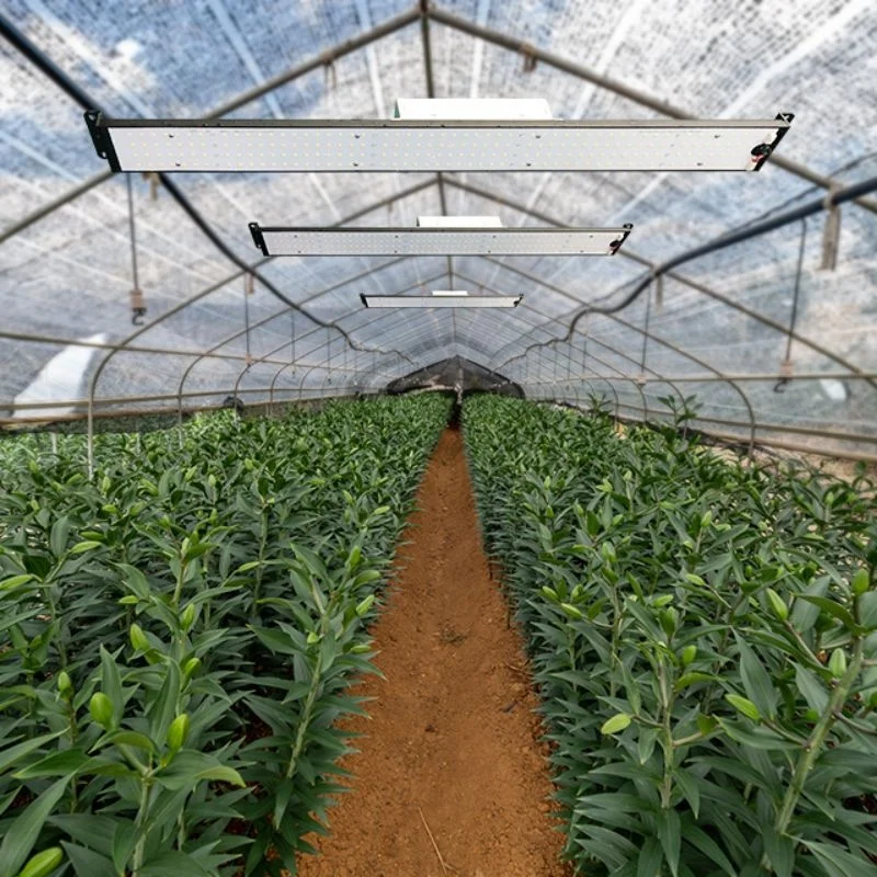 100W LED Grow Light Free Install Dimmable Full Spectrum Grow Lamp with IR & UV LED Plant Lights for Indoor Plants