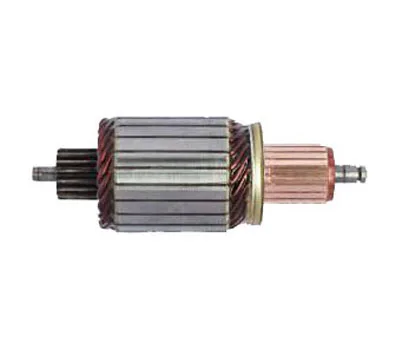 Quality guarantee armature for bosch type 1658732  IM3141 24VArmature