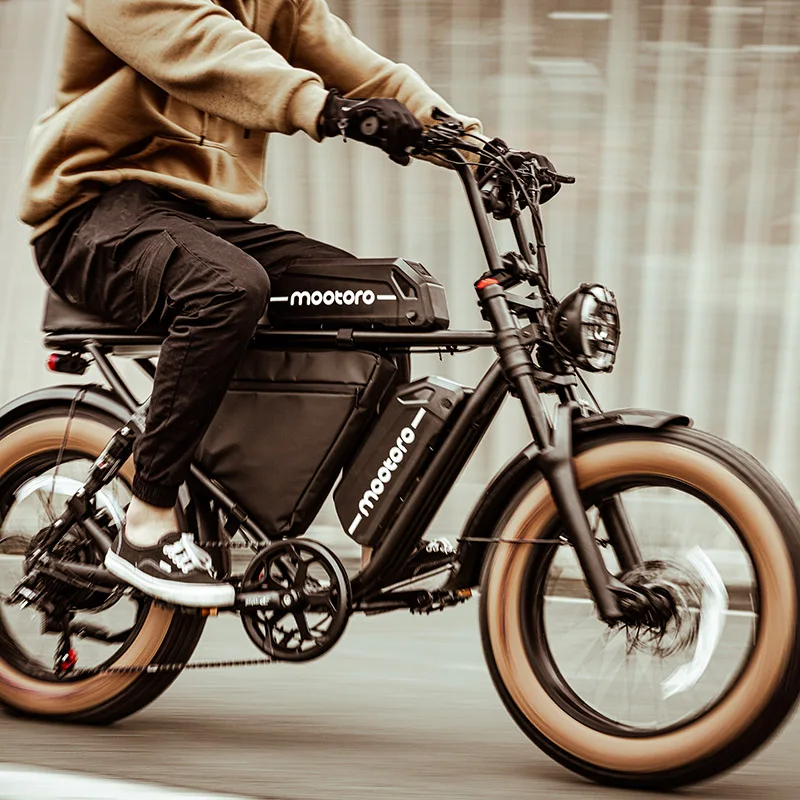 20' Fat Tire Electric Cross Bike 25Ah Dual Battery Long Range Electric Bicycle