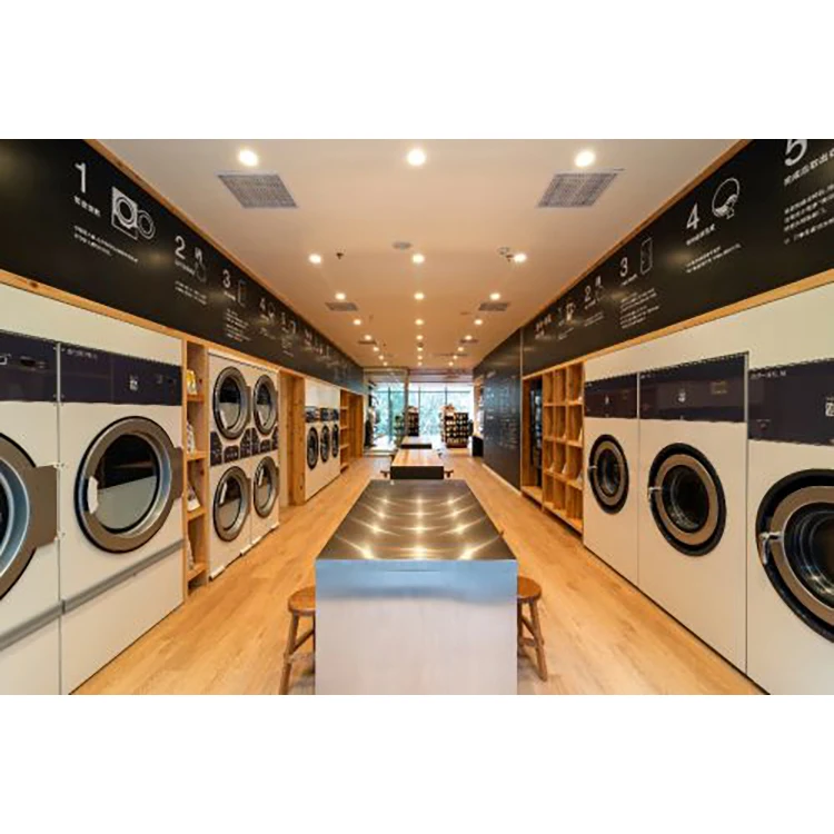 Design And One-Stop Supply Service 1-7 Star Hotel Commercial Laundry Room Graphic Designers Service