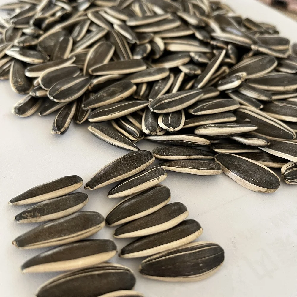 raw sunflower seed, discount sunflower seeds for planting