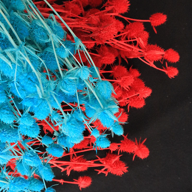 
2021 best popular long lasting flowers dried sea holly flowers in for flower arrangement 