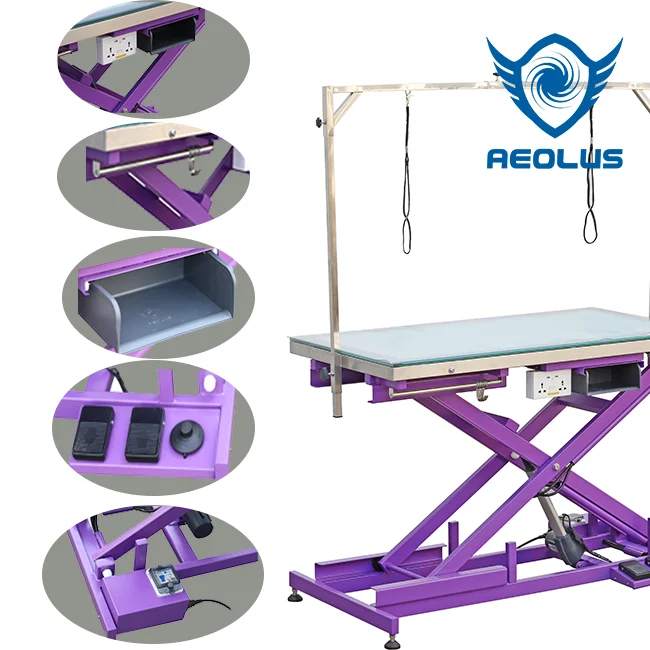 Aeolus High quality LED Lighting Electric lift pet dog beauty grooming table Illumination grooming table
