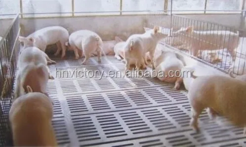 Pig concrete fecal leakage slats mould Board Making Machinery