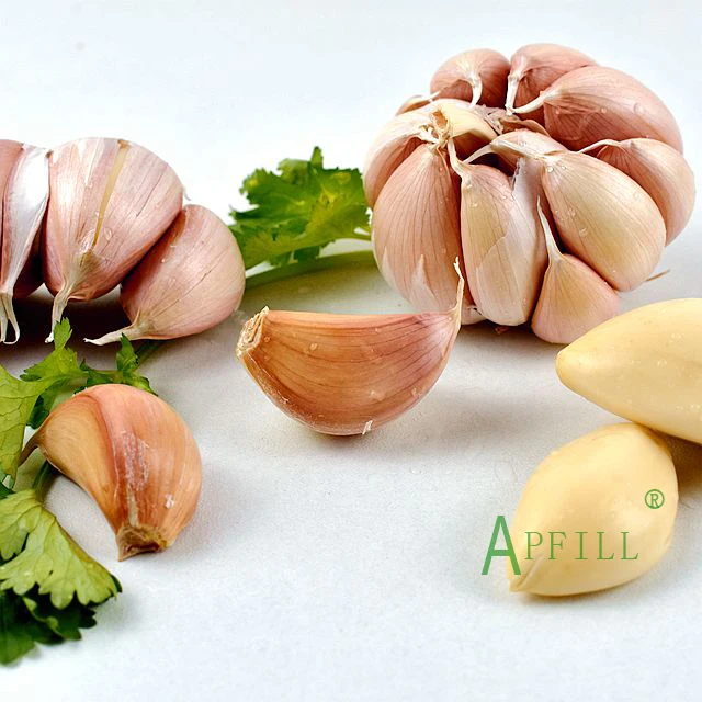 5.5 cm Pure White Fresh Garlic Price/ bulk garlic for sale/ garlic from Yunnan China.