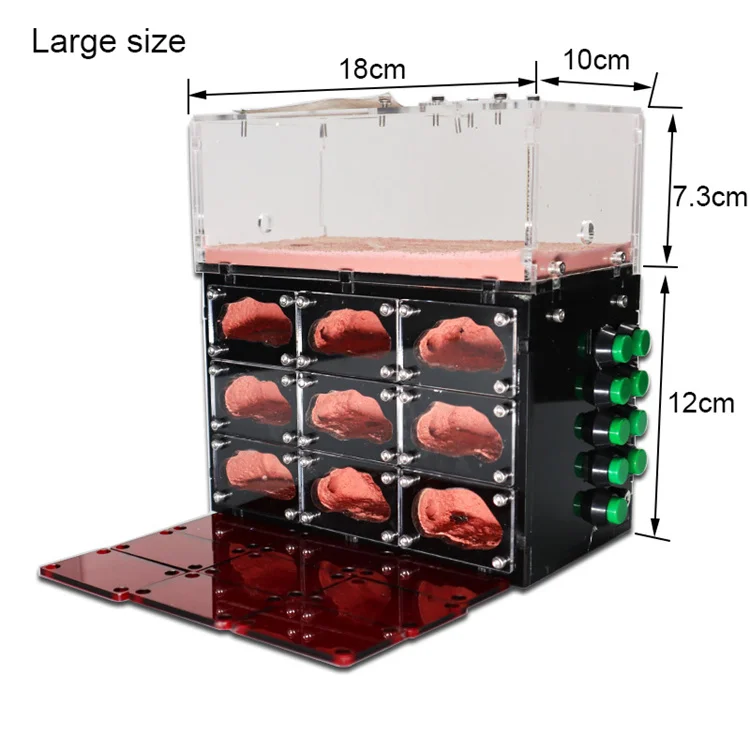 Led Mieren Ant Workshop Cage Castle Breeding Ecological Independent Lights Control Anthill House Farm Ant Nest