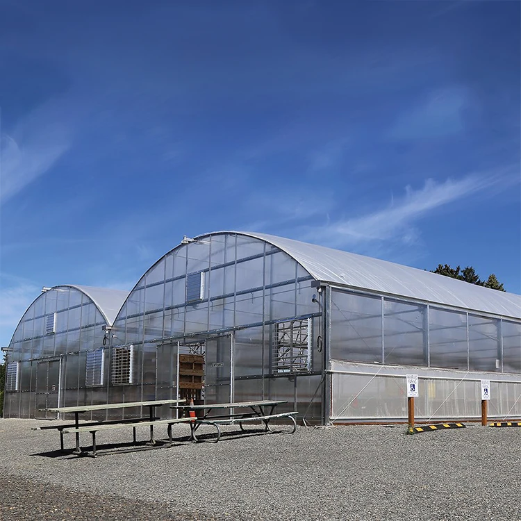 Cheap Large Commercial Multispan Agricultural Dome Green House Polycarbonate Greenhouse Kit