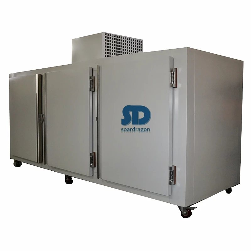 Soardragon Ice Storage Merchandiser Bags Ice Freezer Cabinet Single Glass Wheel / Stainless Steel Leg Freezers display Cooler