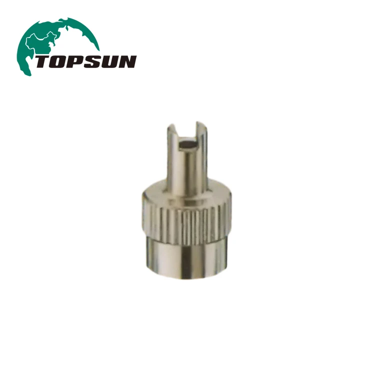 
Topsun Tyre Dust cover Tire Nozzle cover Tire Valve Cover CA-NI 