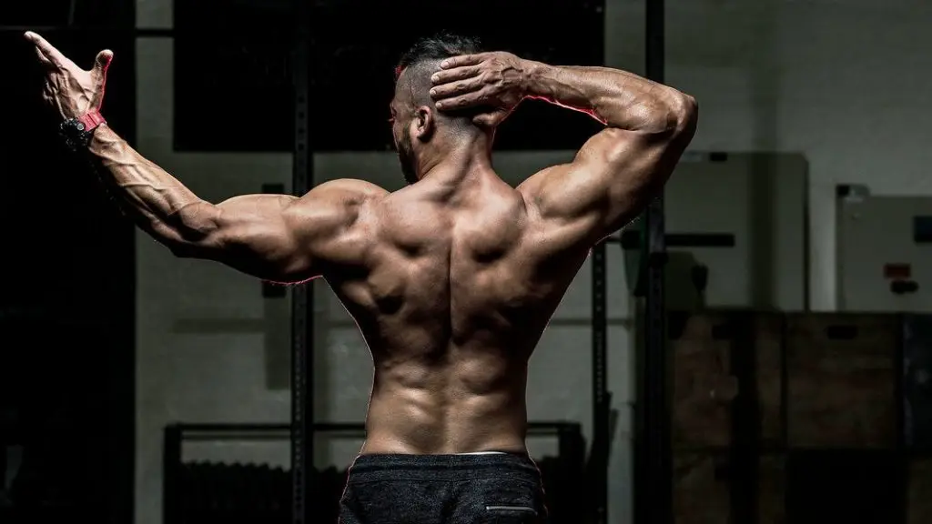 
Consulting Service Peptides Bodybulding 