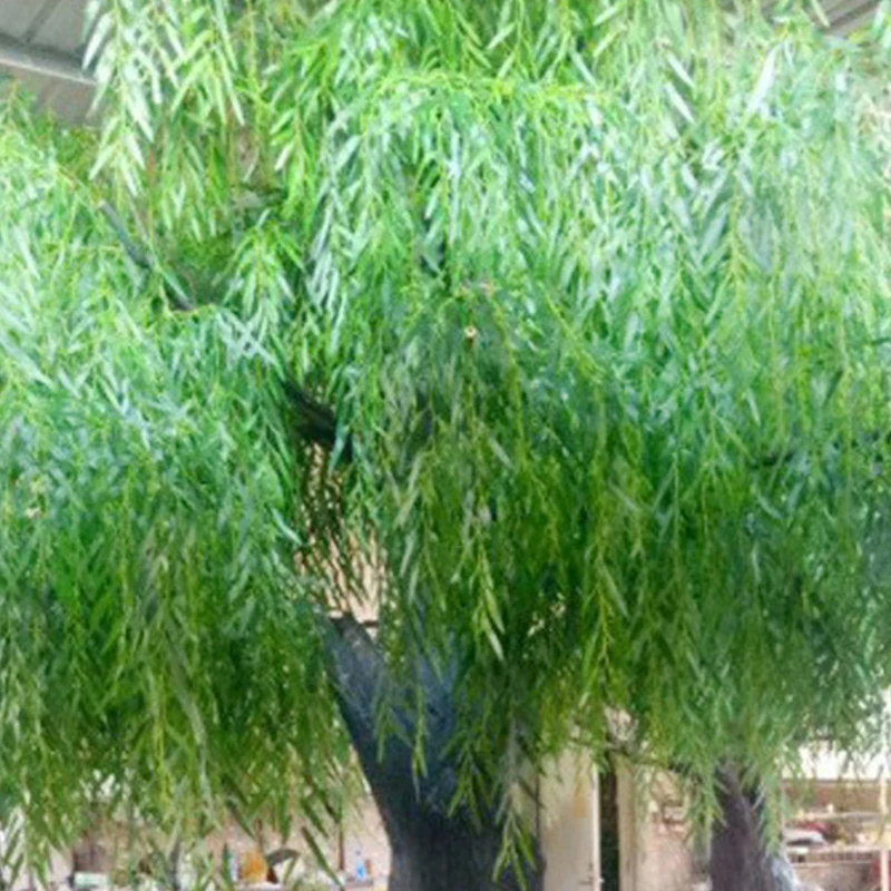 I033 Plant Landscape Artificial Straight Willow Large Outdoor Artificial Trees with Customized Size