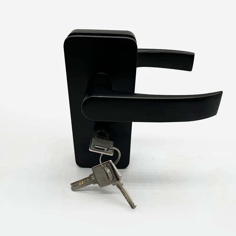 China Hot Sale Top Quality Factory Direct Aluminium Sliding Glass Door Lock with Handle