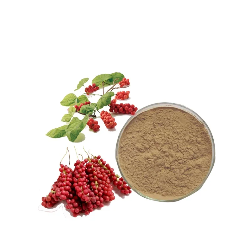 
Chinese factory supply Schisandra chinensis extract powder/ Schisandra Powder with high quality 