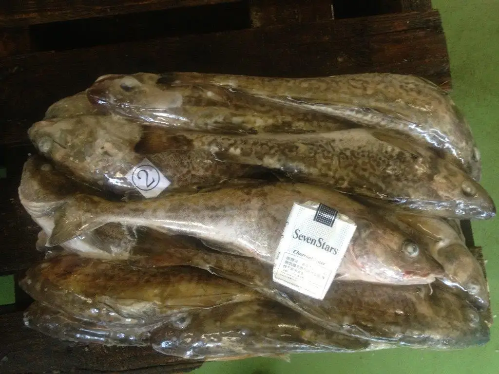 Fresh frozen seafood prices frozen mackerel fish made in Japan