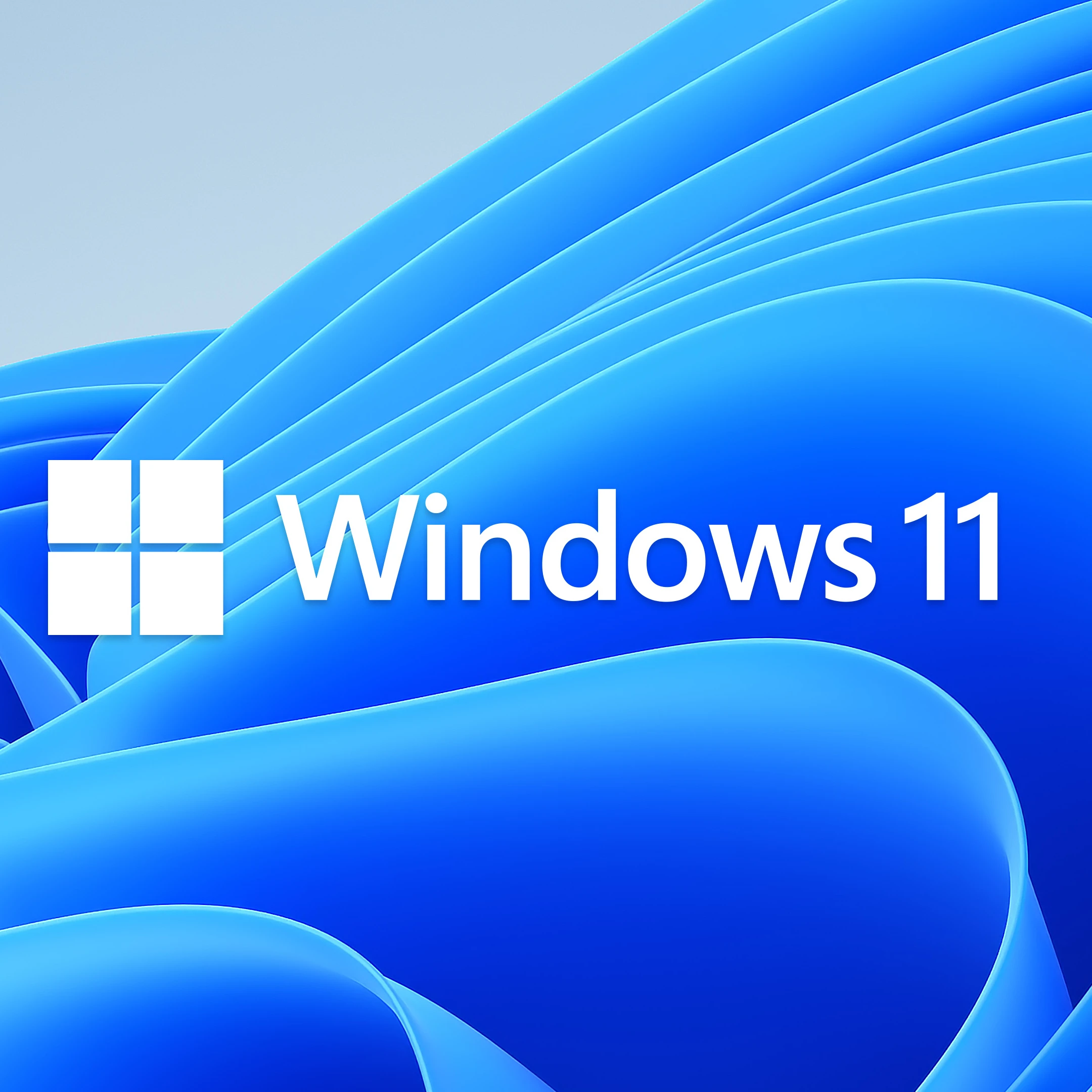Windows 11 Pro Key 100% Activation Online Windows 11 Professional Key License Send by email