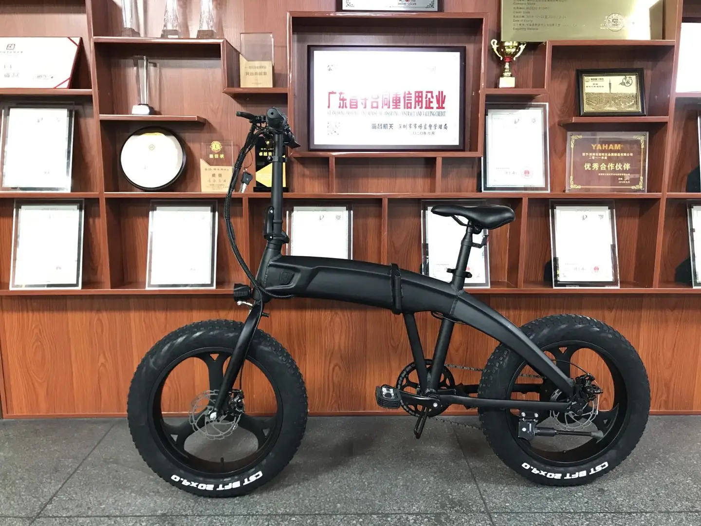 Bicyclette Good quality Cheap Price Men and Woman Snow Wheel Electric Bicycle