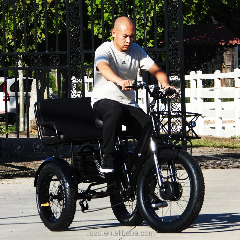 Electric Adult Tricycle Fatbike from China Ebike Max Motorcycle Custom Magnet Body Steel MOTOR Power Bicycle Wheel Brake Cargo