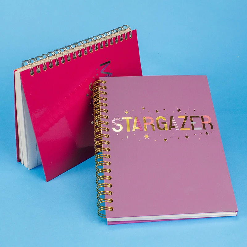 Дневник с внешним аккумулятором и беспроводной зарядкой, ежемесячный планировщик, ноутбуки, геймеры, христианский кожаный журнал, блокнот с пользовательским логотипом