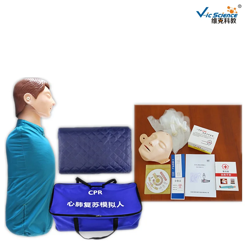 Vic Science взрослая простая модель для тренировки при первой помощи на половину тела