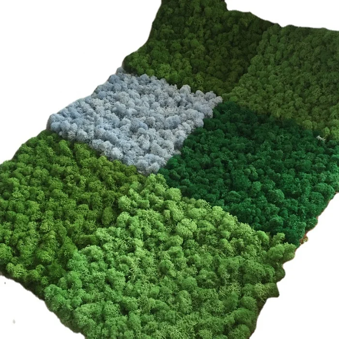 Interior Decoration Office Green Wall Panels Reindeer Preserved Moss