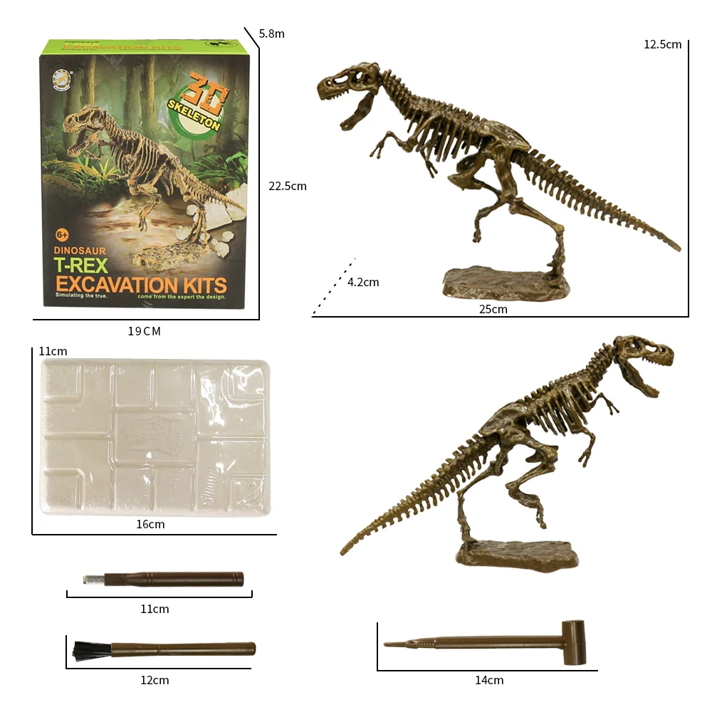 Scientific exploration T-REX dinosaur fossils dig games for kids