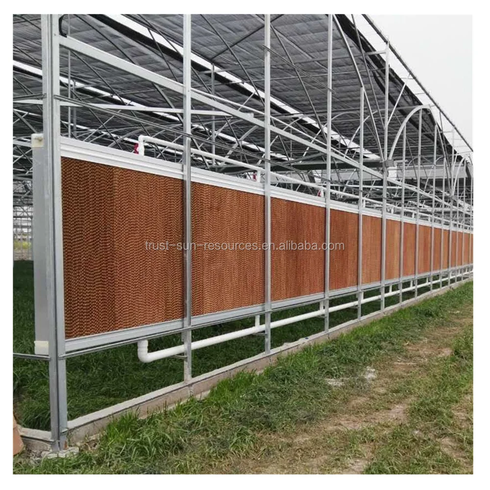 Low Cost and High Quality Chinese Agricultural Greenhouse/Henhouse Wet/Cooling Pad